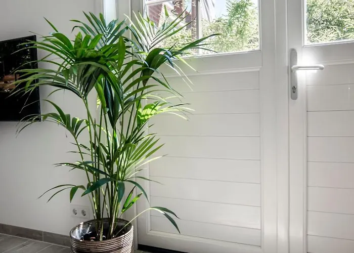 Good Vibes Romantic Incl Free Private Parking Appartement *