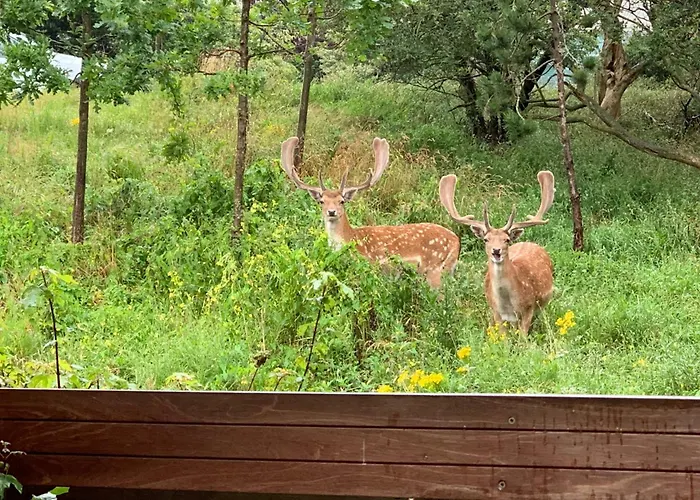 Appartement Good Vibes Romantic Incl Free Private Parking